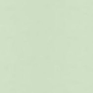 Meet your Posher, Kyra